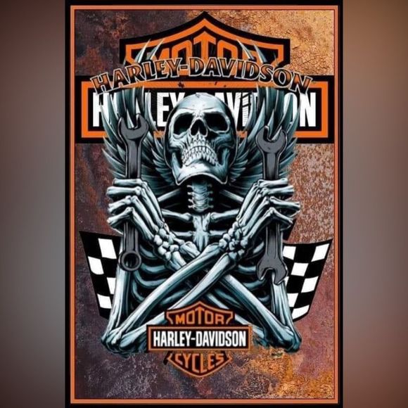 Examples of Harley magnets - Picture 12 of 16